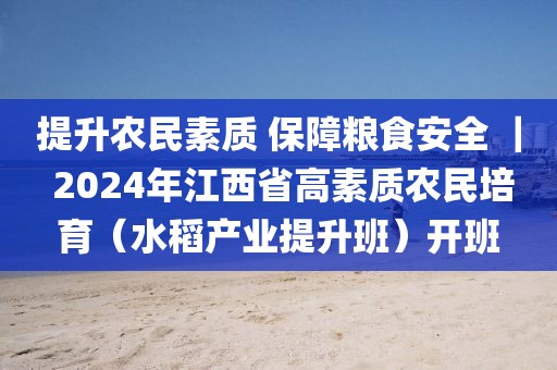 2025年2月12日 第62页