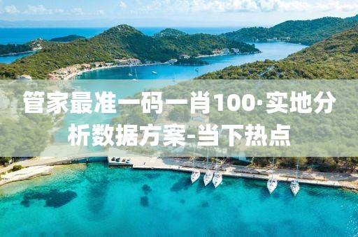 管家最准一码一肖100·实地分析数据方案-当下热点