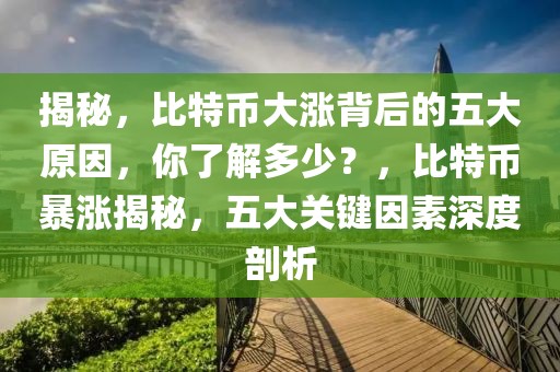 揭秘，比特币大涨背后的五大原因，你了解多少？，比特币暴涨揭秘，五大关键因素深度剖析