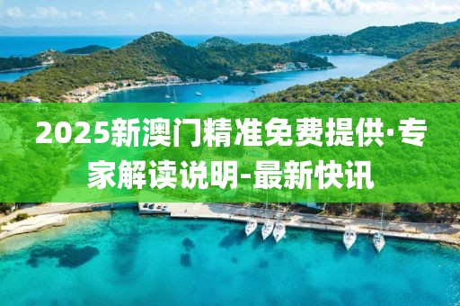 2025新澳门精准免费提供·专家解读说明-最新快讯