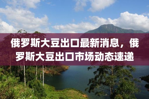 俄罗斯大豆出口最新消息，俄罗斯大豆出口市场动态速递