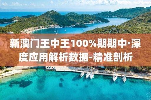 新澳门王中王100%期期中·深度应用解析数据-精准剖析