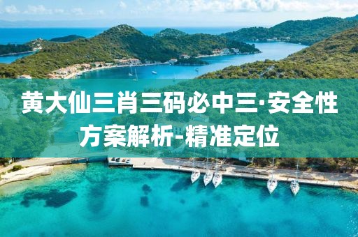 黄大仙三肖三码必中三·安全性方案解析-精准定位