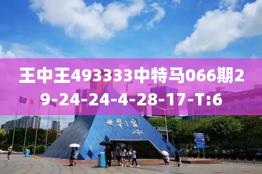 王中王493333中特马066期29-24-24-4-28-17-T:6