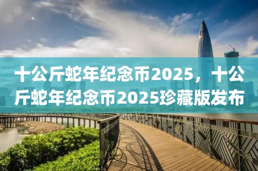 十公斤蛇年纪念币2025，十公斤蛇年纪念币2025珍藏版发布