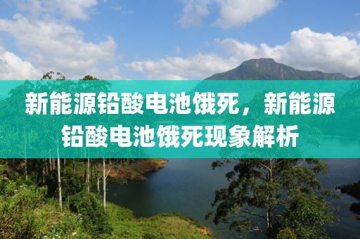 新能源铅酸电池饿死，新能源铅酸电池饿死现象解析