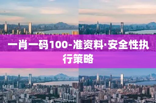 一肖一码100-准资料·安全性执行策略