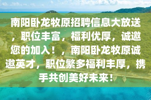 最新行政轿车排行榜，最新行政轿车排行榜揭晓