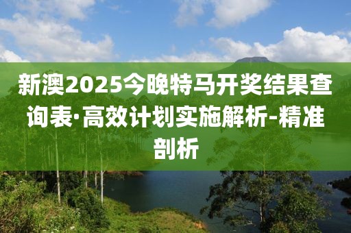 新澳2025今晚特马开奖结果查询表·高效计划实施解析-精准剖析