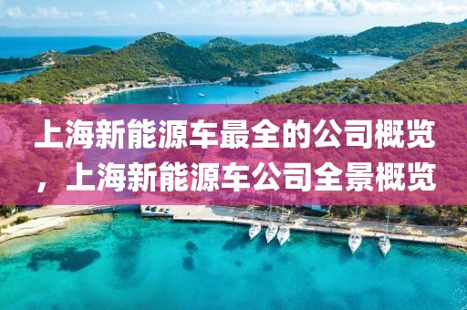 上海新能源车最全的公司概览，上海新能源车公司全景概览