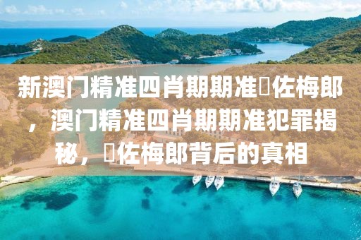 总台报道有反馈丨江西九江对伪劣羽绒服制售企业进行扣押、立案查处