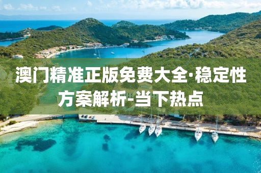 澳门精准正版免费大全·稳定性方案解析-当下热点