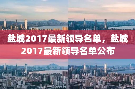 盐城2017最新领导名单，盐城2017最新领导名单公布