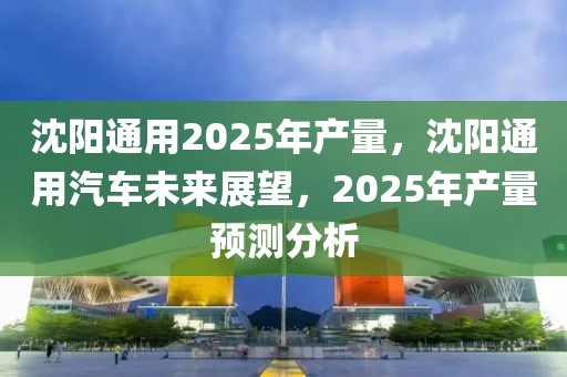 沈阳通用2025年产量，沈阳通用汽车未来展望，2025年产量预测分析