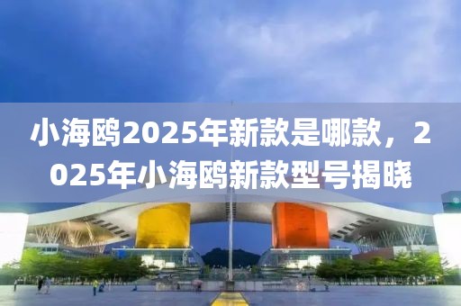 小海鸥2025年新款是哪款，2025年小海鸥新款型号揭晓