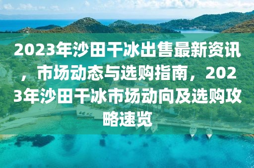 2023年沙田干冰出售最新资讯，市场动态与选购指南，2023年沙田干冰市场动向及选购攻略速览