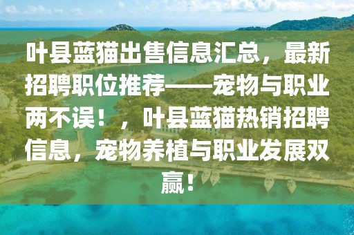 华信名旺角最新动态，华信名旺角：城市新地标蓬勃发展，最新动态全景解读