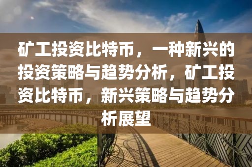 矿工投资比特币，一种新兴的投资策略与趋势分析，矿工投资比特币，新兴策略与趋势分析展望