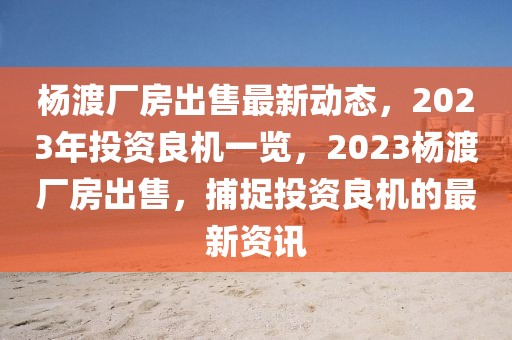 杨渡厂房出售最新动态，2023年投资良机一览，2023杨渡厂房出售，捕捉投资良机的最新资讯