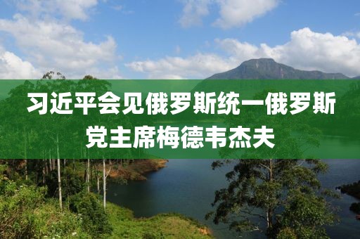 习近平会见俄罗斯统一俄罗斯党主席梅德韦杰夫