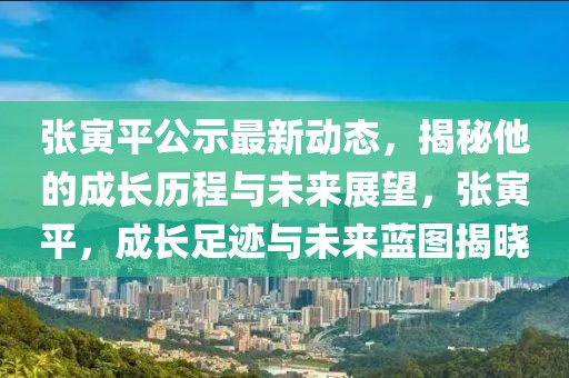 忻州旧城改造最新消息，忻州旧城改造最新进展与未来展望