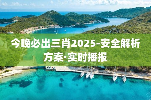 今晚必出三肖2025-安全解析方案·实时播报