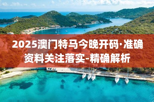 2025澳门特马今晚开码·准确资料关注落实-精确解析