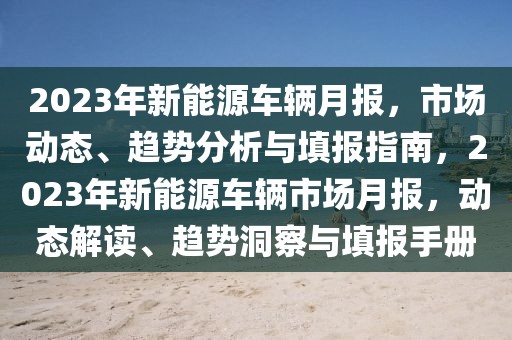 2023年新能源车辆月报，市场动态、趋势分析与填报指南，2023年新能源车辆市场月报，动态解读、趋势洞察与填报手册