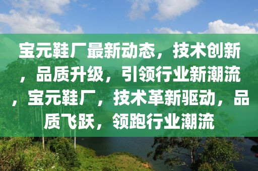 宝元鞋厂最新动态，技术创新，品质升级，引领行业新潮流，宝元鞋厂，技术革新驱动，品质飞跃，领跑行业潮流