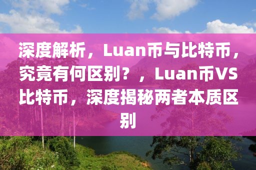 深度解析，Luan币与比特币，究竟有何区别？，Luan币VS比特币，深度揭秘两者本质区别