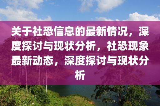 关于社恐信息的最新情况，深度探讨与现状分析，社恐现象最新动态，深度探讨与现状分析