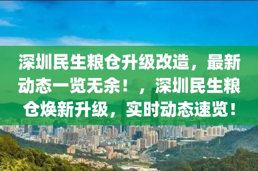 深圳民生粮仓升级改造，最新动态一览无余！，深圳民生粮仓焕新升级，实时动态速览！