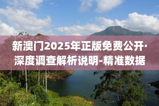 新澳门2025年正版免费公开·深度调查解析说明-精准数据