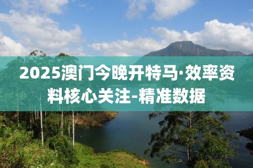 2025澳门今晚开特马·效率资料核心关注-精准数据