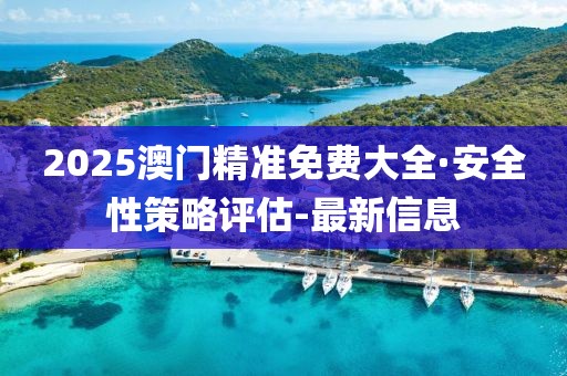 2025澳门精准免费大全·安全性策略评估-最新信息