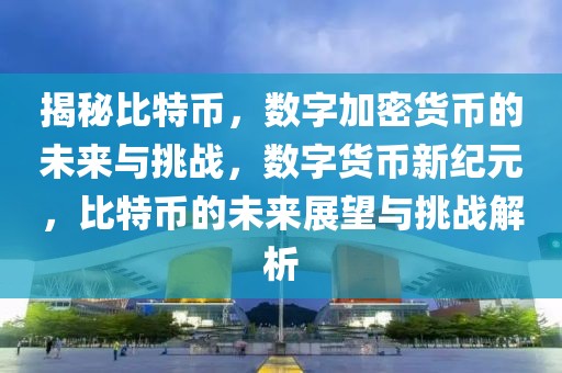 揭秘比特币，数字加密货币的未来与挑战，数字货币新纪元，比特币的未来展望与挑战解析