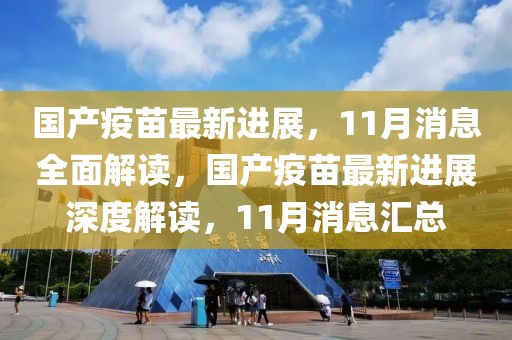 国产疫苗最新进展，11月消息全面解读，国产疫苗最新进展深度解读，11月消息汇总