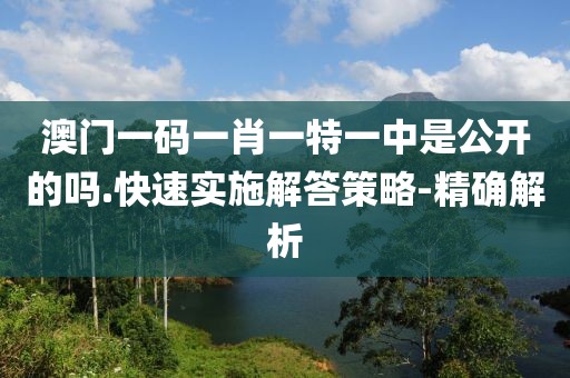 澳门一码一肖一特一中是公开的吗.快速实施解答策略-精确解析