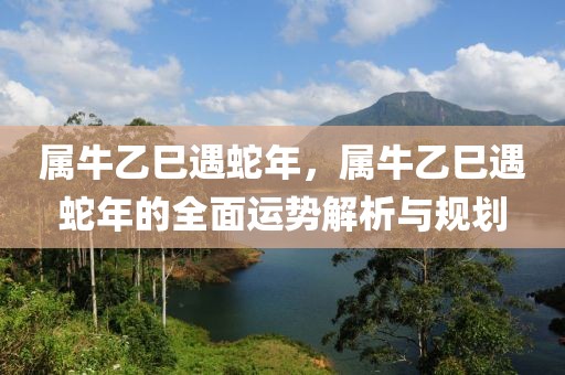 属牛乙巳遇蛇年，属牛乙巳遇蛇年的全面运势解析与规划