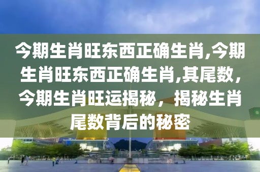 今期生肖旺东西正确生肖,今期生肖旺东西正确生肖,其尾数，今期生肖旺运揭秘，揭秘生肖尾数背后的秘密