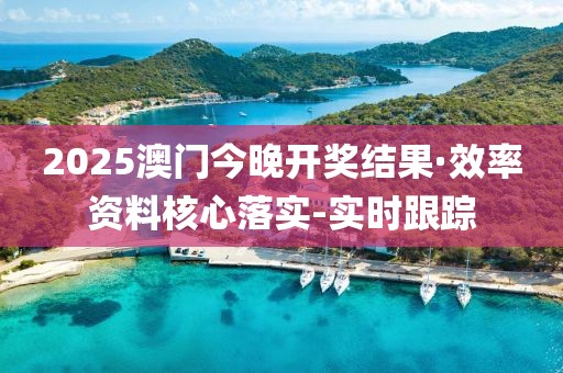 2025澳门今晚开奖结果·效率资料核心落实-实时跟踪