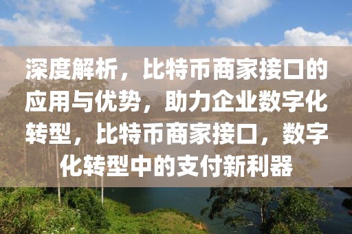 深度解析，比特币商家接口的应用与优势，助力企业数字化转型，比特币商家接口，数字化转型中的支付新利器