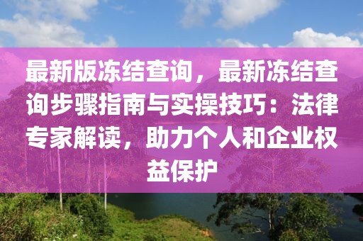 最新版冻结查询，最新冻结查询步骤指南与实操技巧：法律专家解读，助力个人和企业权益保护