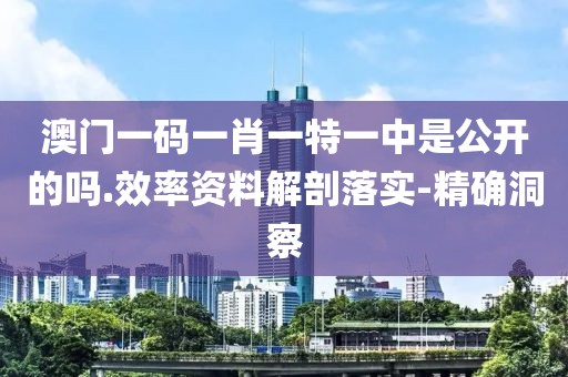 澳门一码一肖一特一中是公开的吗.效率资料解剖落实-精确洞察