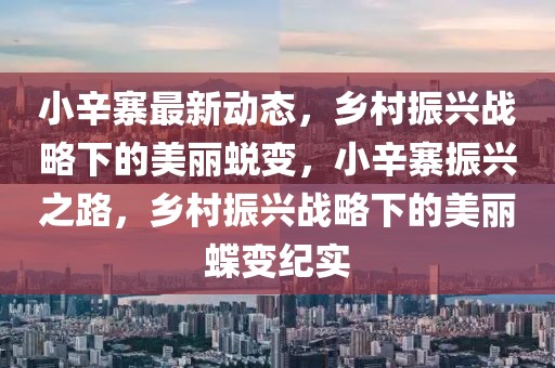 小辛寨最新动态，乡村振兴战略下的美丽蜕变，小辛寨振兴之路，乡村振兴战略下的美丽蝶变纪实