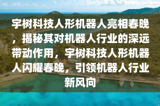 宇树科技人形机器人亮相春晚，揭秘其对机器人行业的深远带动作用，宇树科技人形机器人闪耀春晚，引领机器人行业新风向