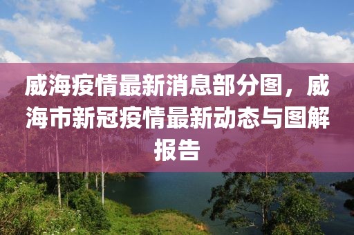 威海疫情最新消息部分图，威海市新冠疫情最新动态与图解报告