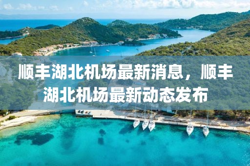 顺丰湖北机场最新消息，顺丰湖北机场最新动态发布