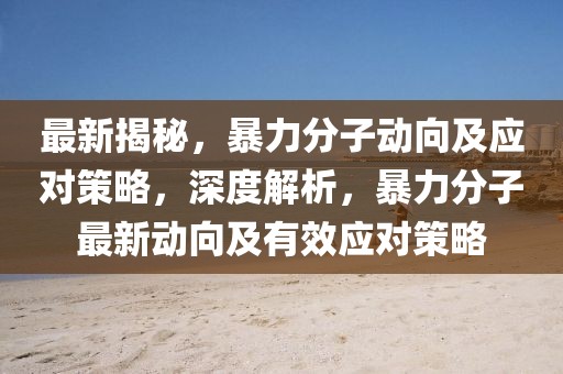 2025年高中政治一轮复习知识点全攻略，高效提升政治素养，2025年高中政治一轮复习攻略，高效提升政治素养秘籍