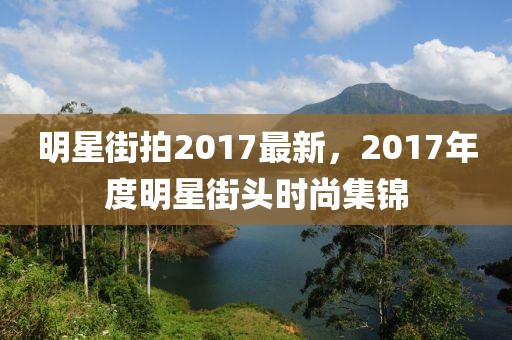 明星街拍2017最新，2017年度明星街头时尚集锦